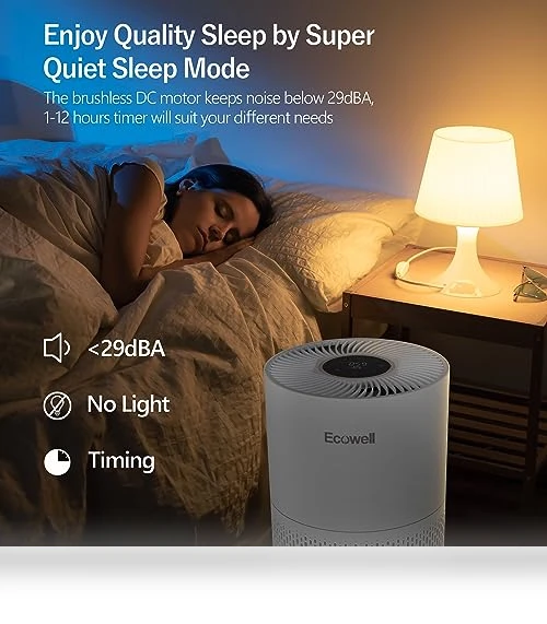 Large Room Air Purifier with Air Quality Sensor — Activated Carbon Air Purifiers, ECOWELL