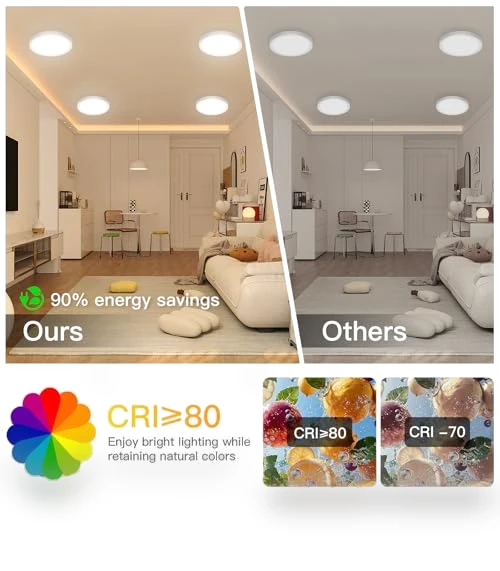 LED Flush Mount Ceiling Fixture with Night Light — Overhead Lighting, JTT