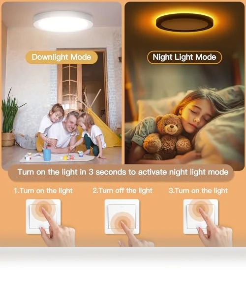 LED Flush Mount Ceiling Fixture with Night Light — Overhead Lighting, JTT