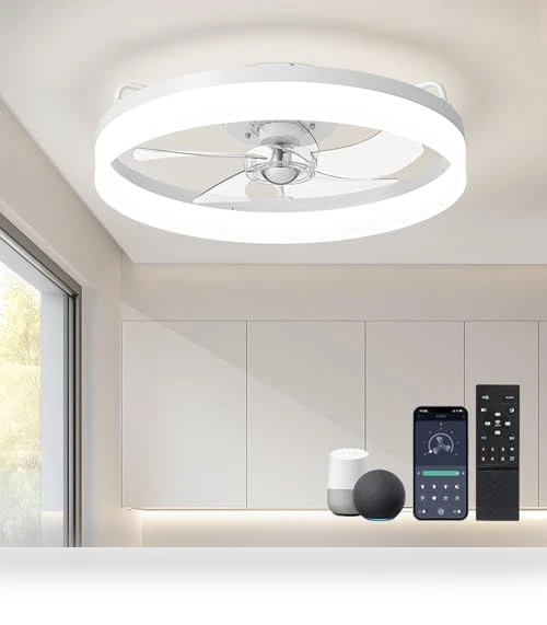 Smart Ceiling Fan with Lights — Ceiling Fan Wall Controls, LUDOMIDE