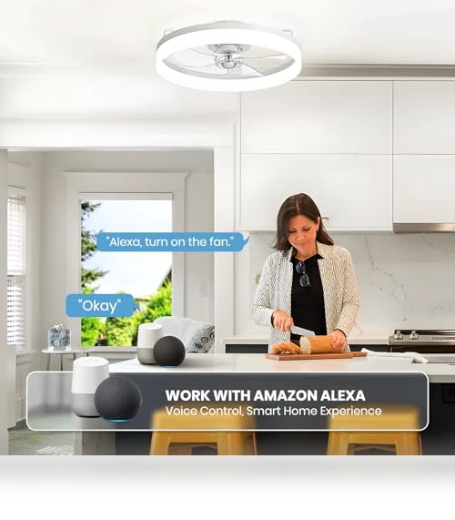 Smart Ceiling Fan with Lights — Ceiling Fan Wall Controls, LUDOMIDE