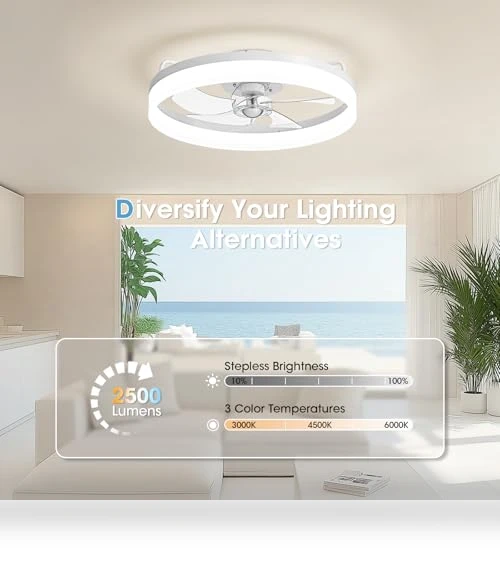Smart Ceiling Fan with Lights — Ceiling Fan Wall Controls, LUDOMIDE