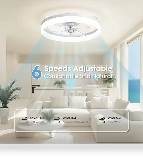 Smart Ceiling Fan with Lights — Ceiling Fan Wall Controls, LUDOMIDE