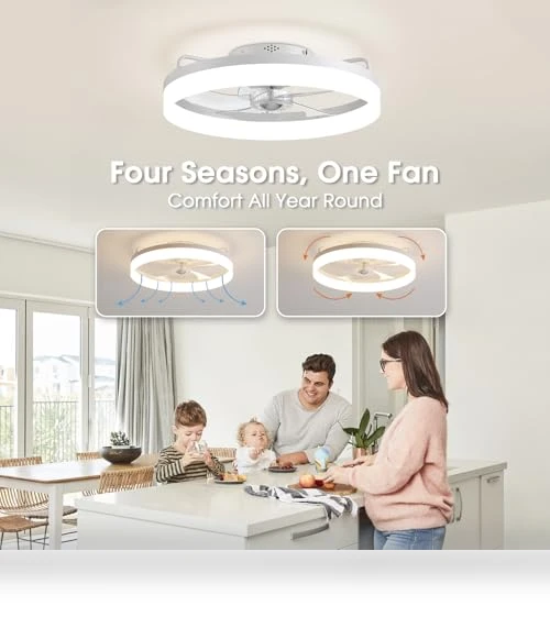 Smart Ceiling Fan with Lights — Ceiling Fan Wall Controls, LUDOMIDE