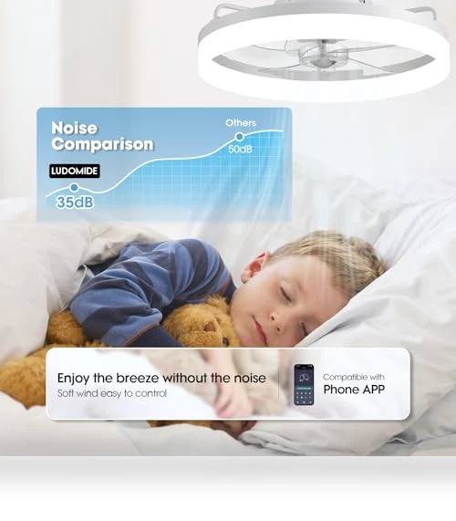 Smart Ceiling Fan with Lights — Ceiling Fan Wall Controls, LUDOMIDE