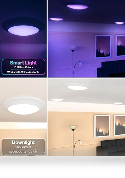Smart Disk LED Flush Mount Ceiling Light — Overhead Lighting, Sunco Lighting