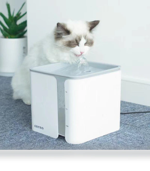 Automatic Cat Fountain — Pet Hydration Solutions, Five Colorful