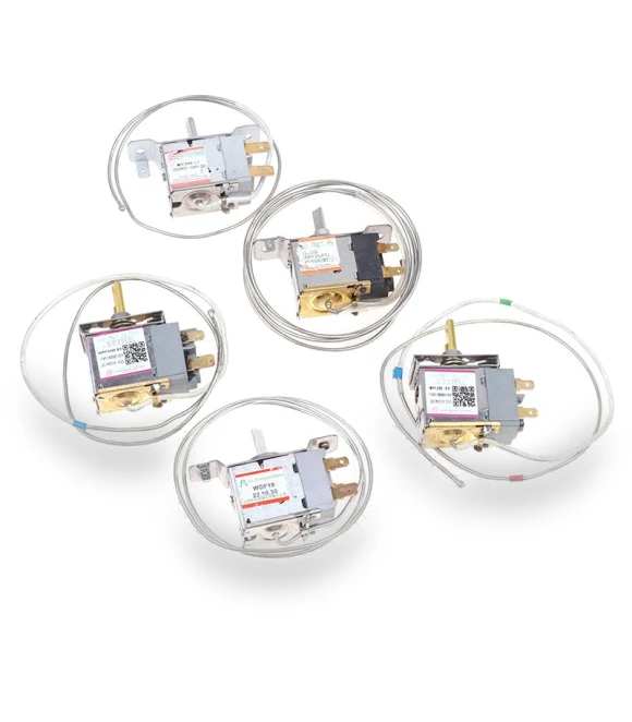 Refrigerator Thermostat — Beverage Cooler Spare Parts, Treasure Hom