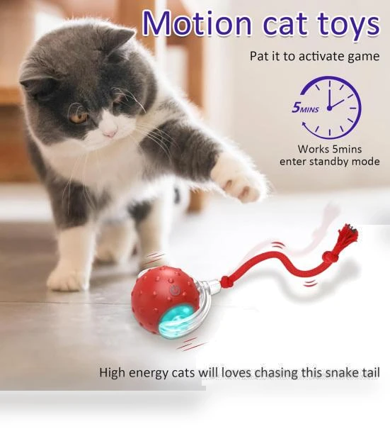 Interactive Rolling Toy for Cats — Cat Playthings, Love Pet House
