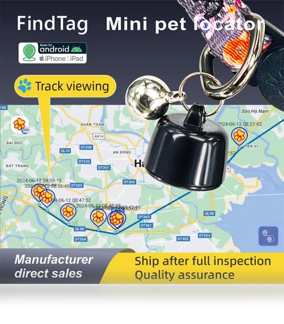 Smart GPS Tracker — Location Tracking Devices, Autumn Orchids