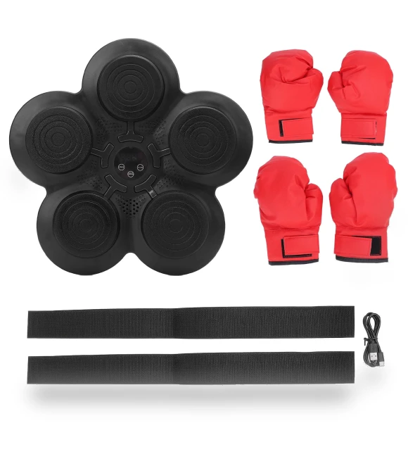 Smart Musical Boxing Trainer — Boxing Training Gear, ZuiyouBaby1