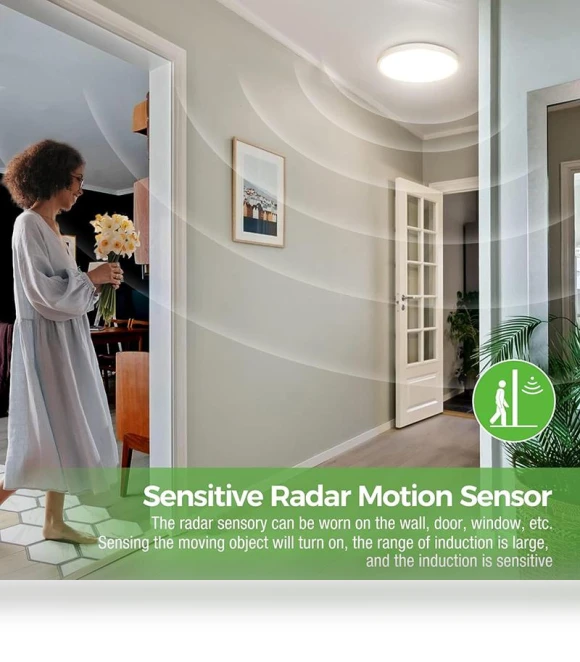LED Radar Sensor Ceiling Lamp — Garden Illumination, AE Selection