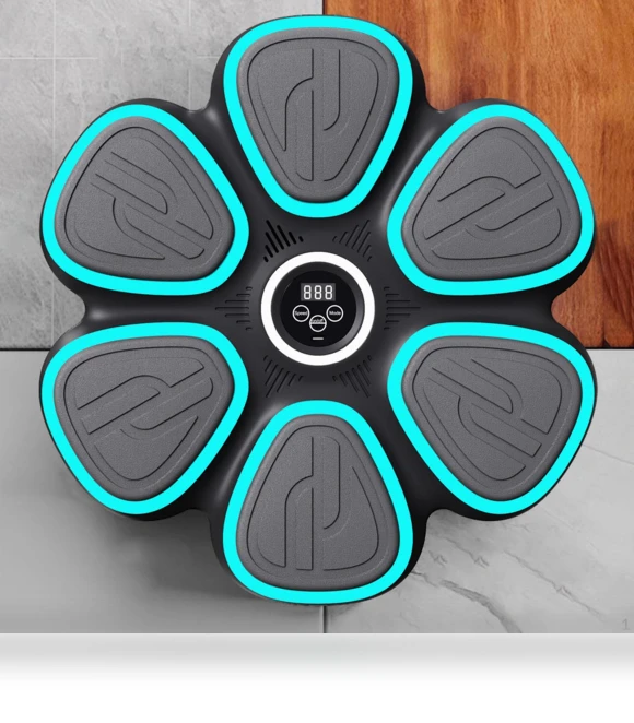 Smart Music Boxing Trainer — Boxing Training Gear, SunshineTek