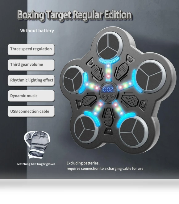 Bluetooth Boxing Target — Fitness & Activity Monitors, iPlay