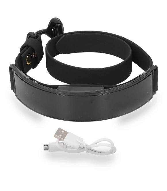 LED Dog Collar with Smart Screen — Collars, Zeblaze