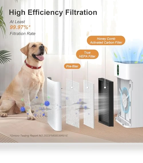 Air Purifier for Large Rooms — HEPA Air Purifiers, EZBASICS