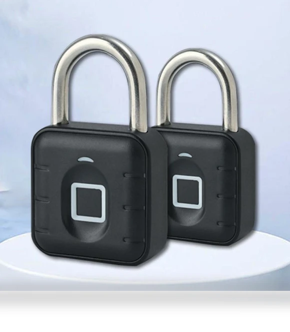 Biometric Fingerprint Smart Door Lock — Locks, Walked Quickly
