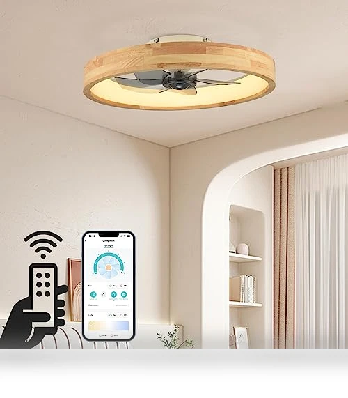 Ceiling Fan with Light — Ceiling Fan Lighting Solutions, WenineStar