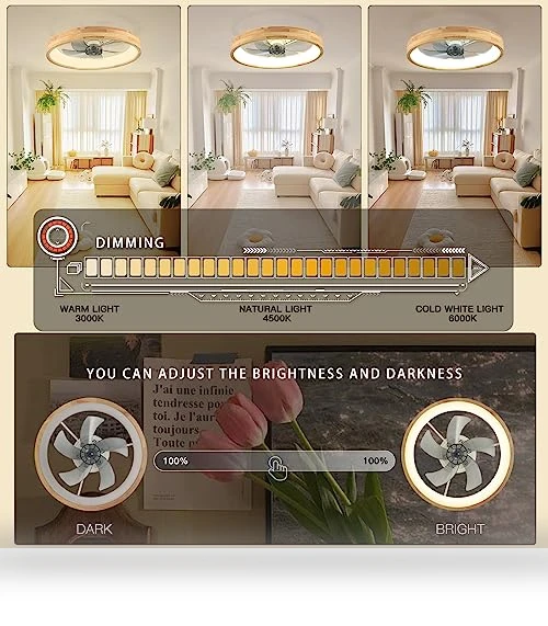 Ceiling Fan with Light — Ceiling Fan Lighting Solutions, WenineStar