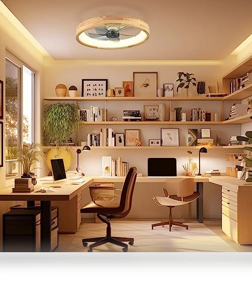 Ceiling Fan with Light — Ceiling Fan Lighting Solutions, WenineStar