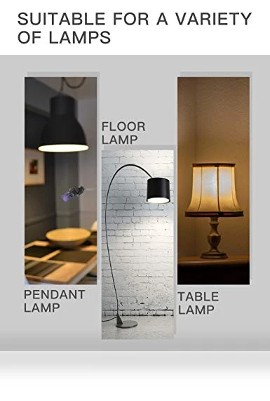 Decorative Round LED Light Bulb — Incandescent, Harwez