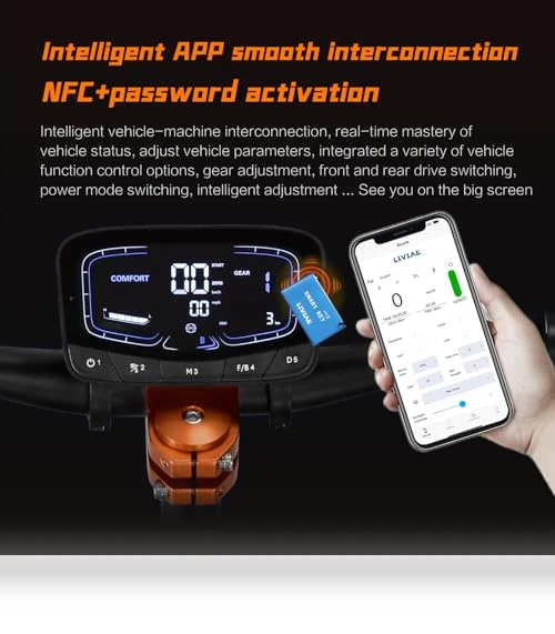 Dual Drive Electric Scooter — Electric Vehicles, TUORUIBOKE