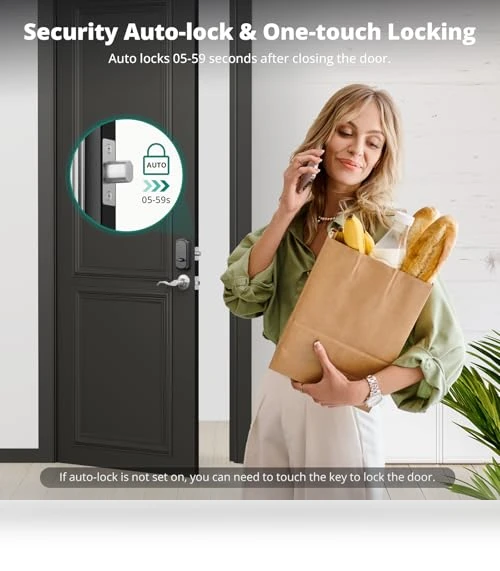 Keyless Entry Door Lock with Handle — Padlocks & Hasps, AkaGear