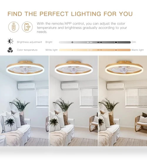 Modern Gold Ceiling Fan with Lights — Ceiling Fan Lighting Solutions, STERREN