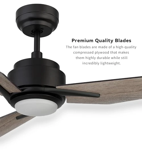 Smart Ceiling Fan with Lights — Ceiling Fan Wall Controls, SMAFAN