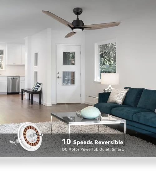 Smart Ceiling Fan with Lights — Ceiling Fan Wall Controls, SMAFAN