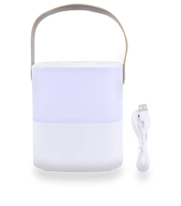 Adjustable Touch Lamp with Handle — Desk & Table Lighting, Pc1ZY