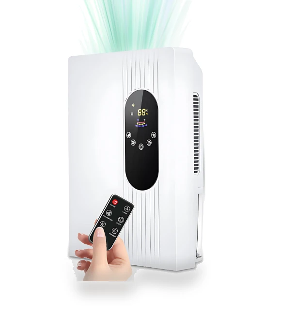 Air Dehumidifier and Purifier 2-in-1 — Air Moisture Control, Xing Hui