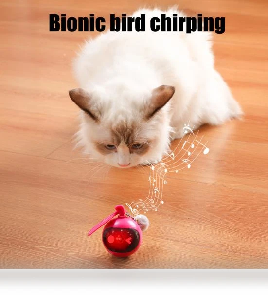 Automatic Moving Balls — Cat Playthings, Love Pet House