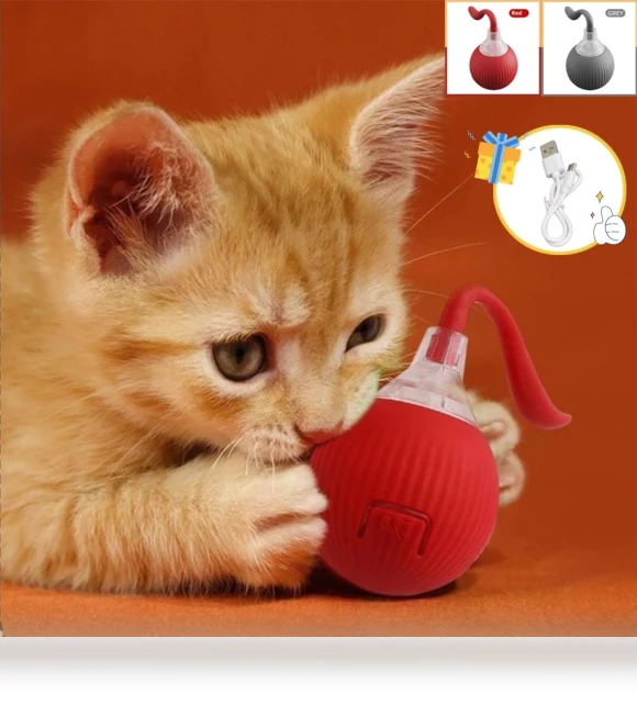 Automatic Rolling Ball for Cats — Cat Playthings, YJMP Top