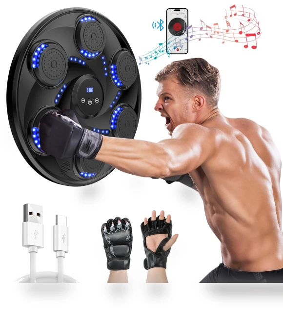 Bluetooth Music Boxing Wall Target — Fitness & Activity Monitors, Holland Ham