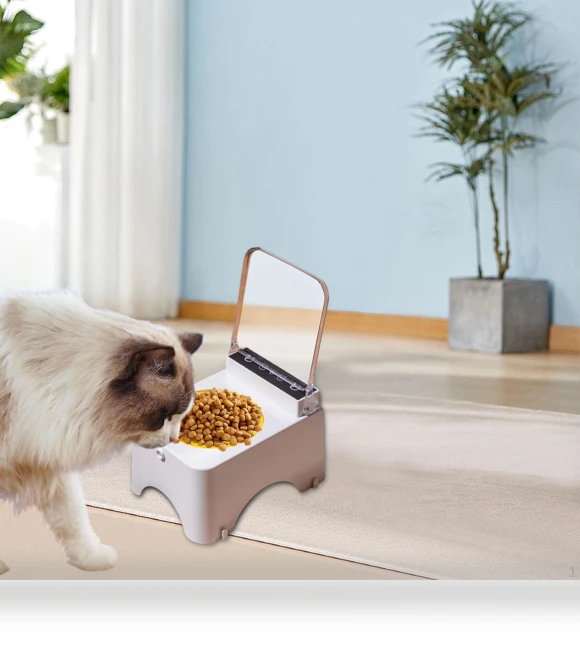 Elevated Cat Food Bowl with Stand — Feeding Supplies, Closet of Beauty