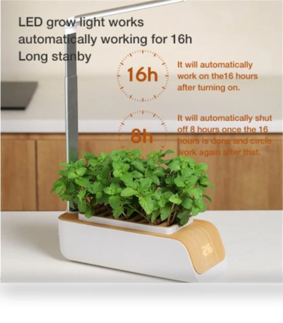 Hydroponic Growing System — Germination Kits, RUI RUI YU 6