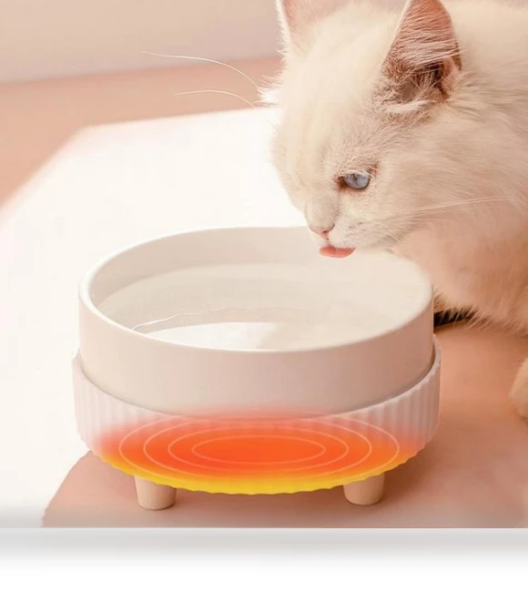 Rechargeable Heated Cat Bowl — Cat Dining Essentials, Darling Women Boutique D