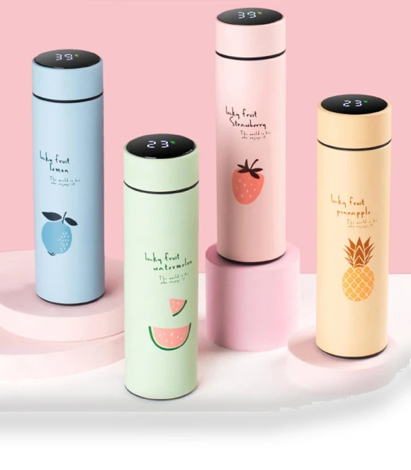 Smart Stainless Steel Thermos Bottle — Travel Drinkware, TOP-MALL-001