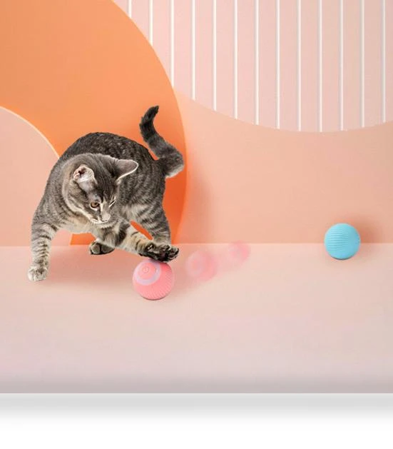 Automatic Cat Toy — Cat Playthings, I love My Pet
