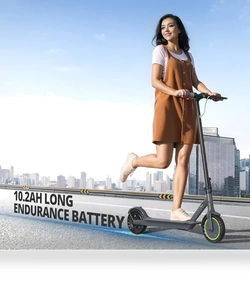 Electric Scooter — Electric Self-Balancing Scooters, Roinside