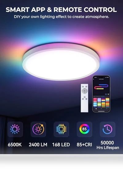 Flush Mount Ceiling Light — Overhead Lighting