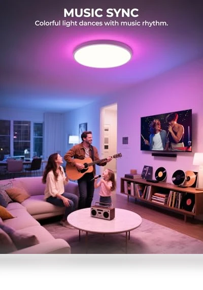 Flush Mount Ceiling Light — Overhead Lighting