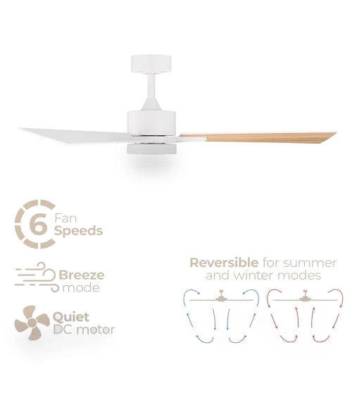Smart 3-Blade Ceiling Fan with LED Light Kit — Ceiling Fan Lighting Solutions, East Grove Home