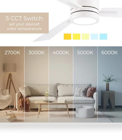 Smart 3-Blade Ceiling Fan with LED Light Kit — Ceiling Fan Lighting Solutions, East Grove Home
