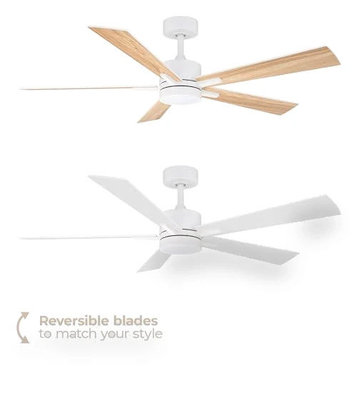 Smart 5-Blade Ceiling Fan with LED Light Kit — Ceiling Fan Lighting Solutions, East Grove Home