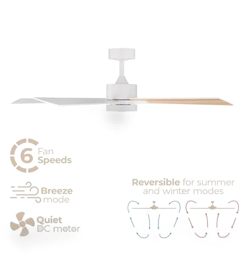 Smart 5-Blade Ceiling Fan with LED Light Kit — Ceiling Fan Lighting Solutions, East Grove Home