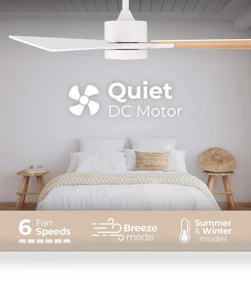 Smart 5-Blade Ceiling Fan with LED Light Kit — Ceiling Fan Lighting Solutions, East Grove Home