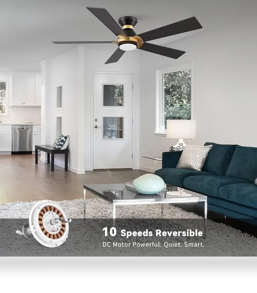 Smart 52" Ceiling Fan with Lights — Ceiling Fan Wall Controls, SMAFAN