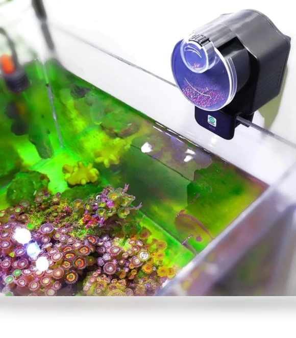 Smart Aquarium Fish Feeder — Feeders, Naituo